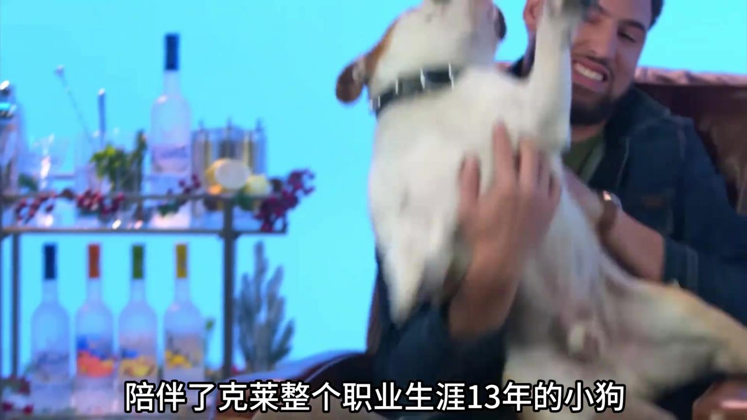 陪伴克萊13年的小狗去世了，不敢相信克萊得多么傷心